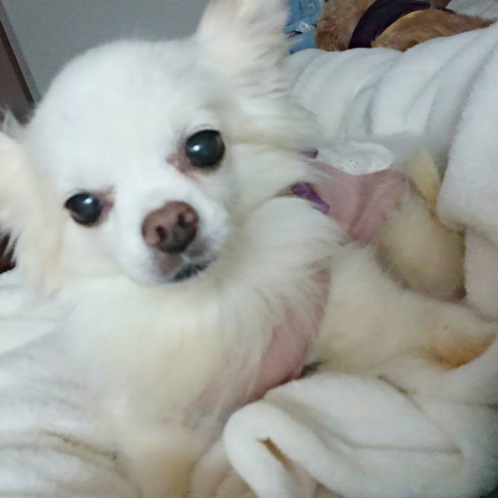 1f3f38ed 0aab 4692 88a1 1b8f4953f7c9