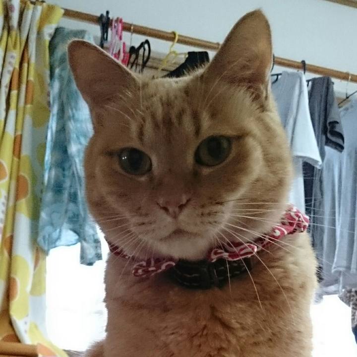 1f3f43b4 15b0 416a b1a3 ca1baba2afbf