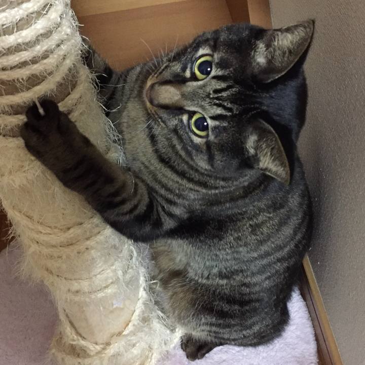 1f3fac9a beed 4505 b4c3 5895b2d8f65c