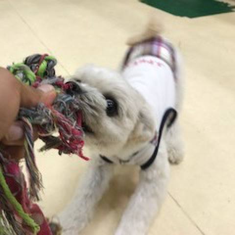 1f3fda48 ee28 46bc b8d6 7e21ddb33a6a