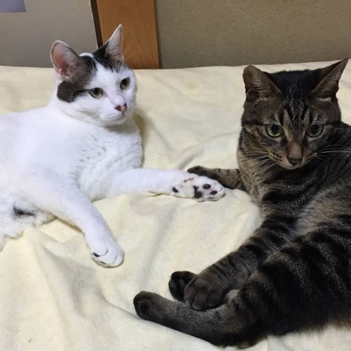 1f40451f 43a5 4989 9d9b 3af9a7cb5c1c