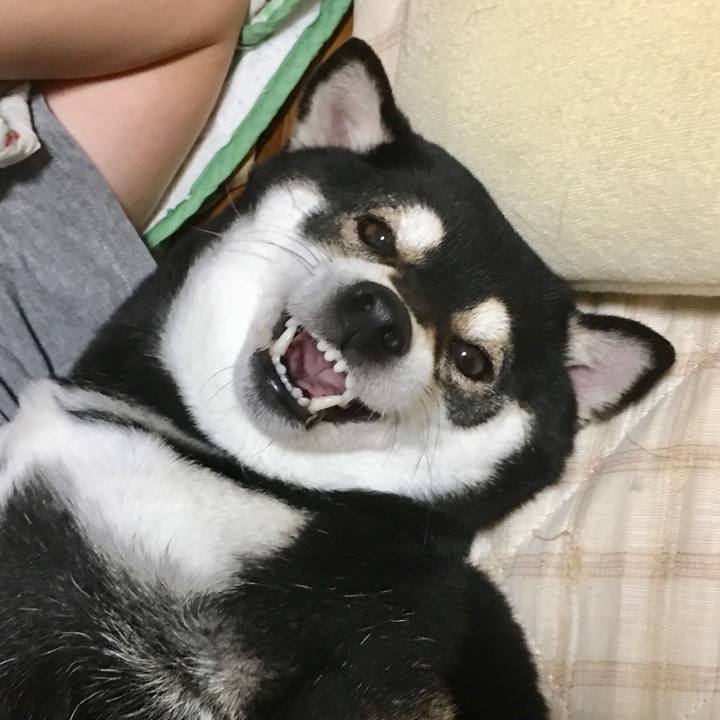 1f40a921 5da8 4f70 9973 f050669faa2f