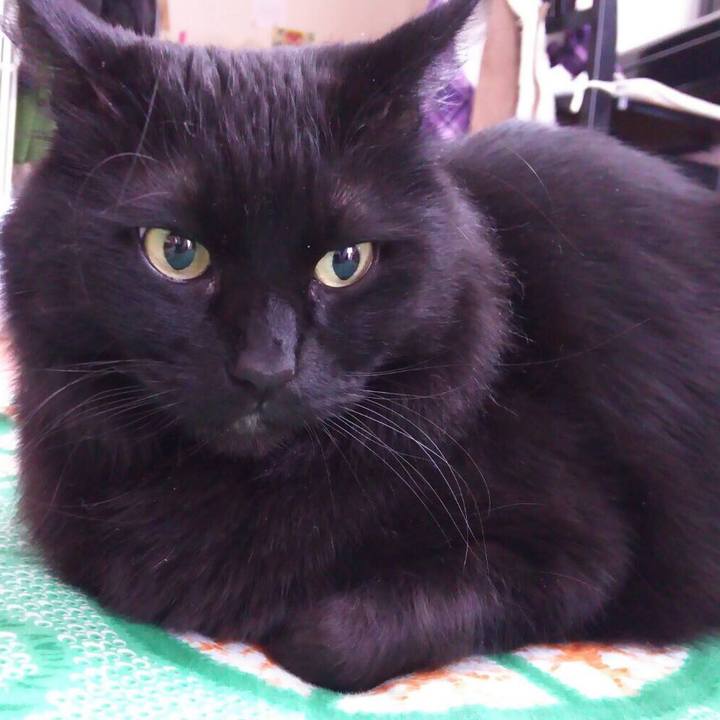 1f40b1a0 57de 4627 8787 e8509b21aa95