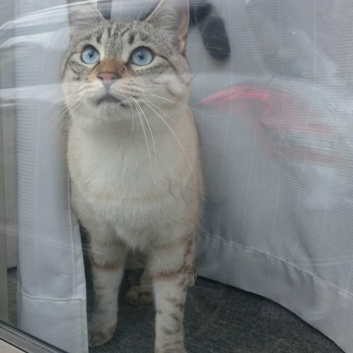 1f40f8a7 af36 4345 b39f 994490f336db