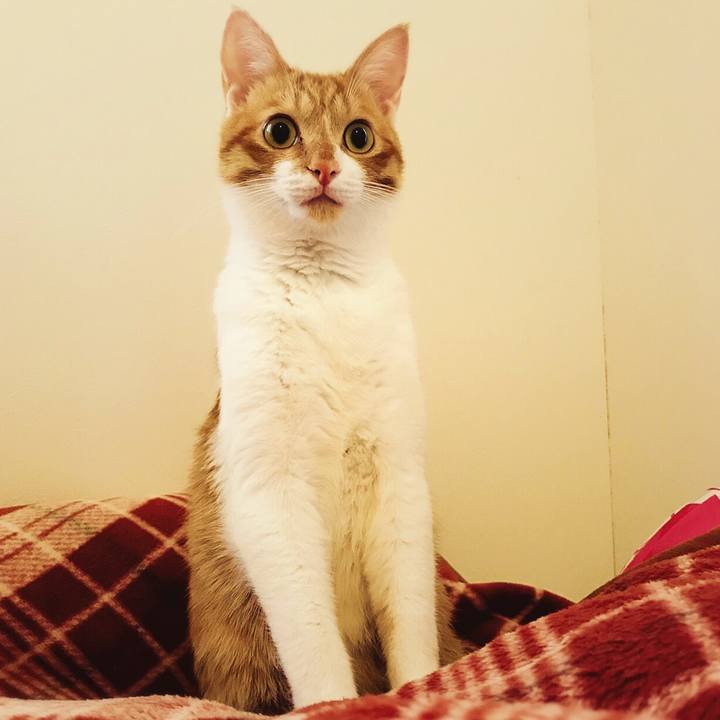 1f415975 590d 4bb4 a23d 5f265c74f991