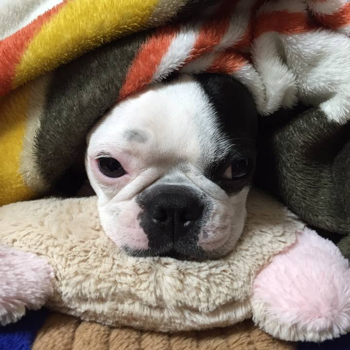 1f416381 e7eb 4916 b27b 66684bfc34e4