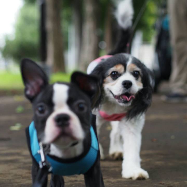 1f41d13f 8f6e 4b4a 89a4 270cdb18acdf