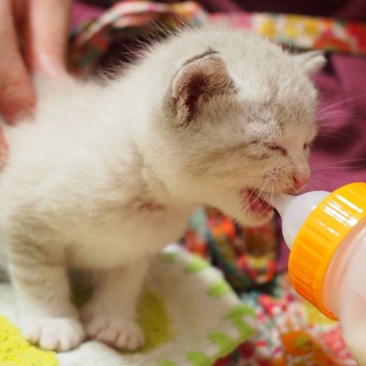 1f41d521 6511 4fe2 8a17 f3e01a7a9cde