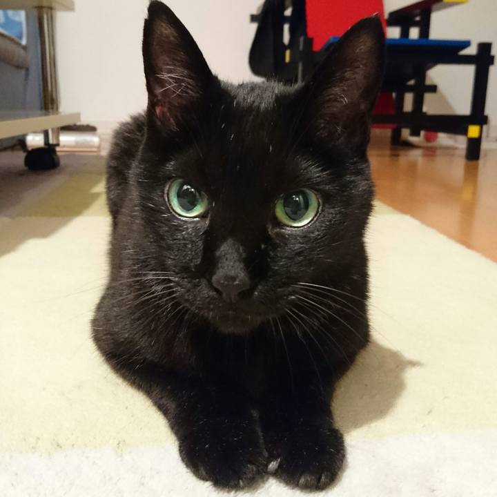 1f41e6a8 cef4 4721 bf05 1ca0dbda7a4c