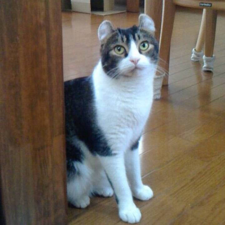 1f428a99 0cd1 46c0 80c1 7ad4a90067bf