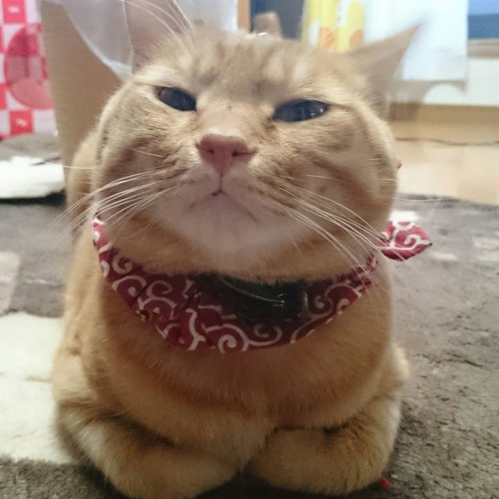 1f42ad26 c06c 4d41 b62f 1b38184571de