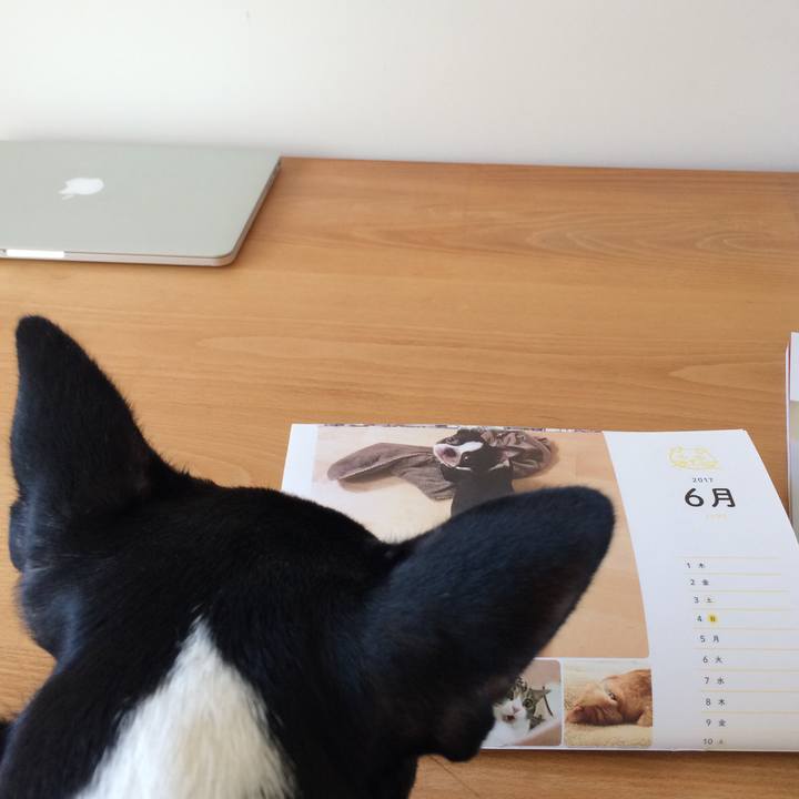 1f4315bb 2ca5 45f4 94fc 11531906e995