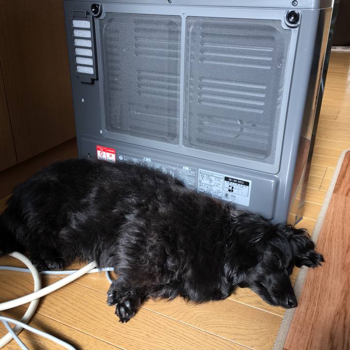 1f434e73 9ce1 483b be8f 63bca704f028