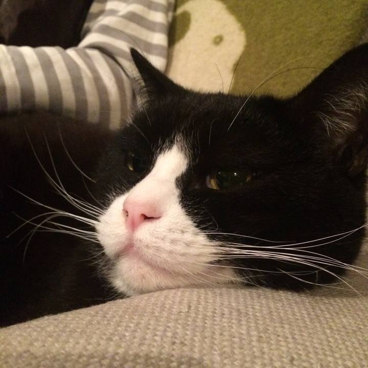 1f43d8dd 6c87 4456 8c60 1d90745a587d