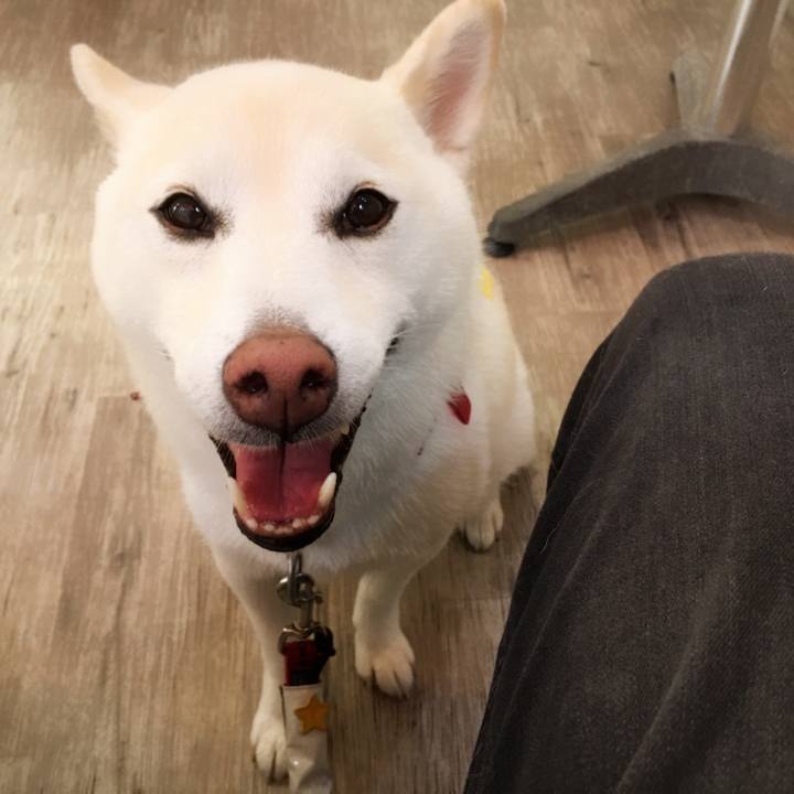 1f445d55 22b0 441f 8745 7120bf930c85