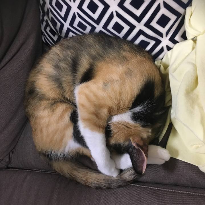 1f447660 e55c 4513 8212 a3e72c455175