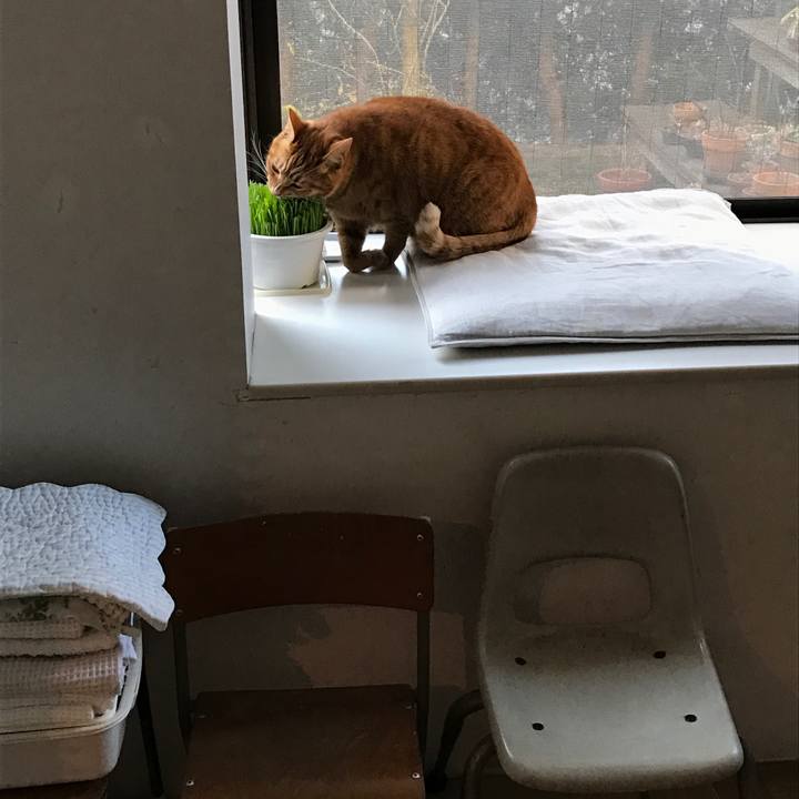 1f456619 791d 4b2d 826d a3a557fe45cc