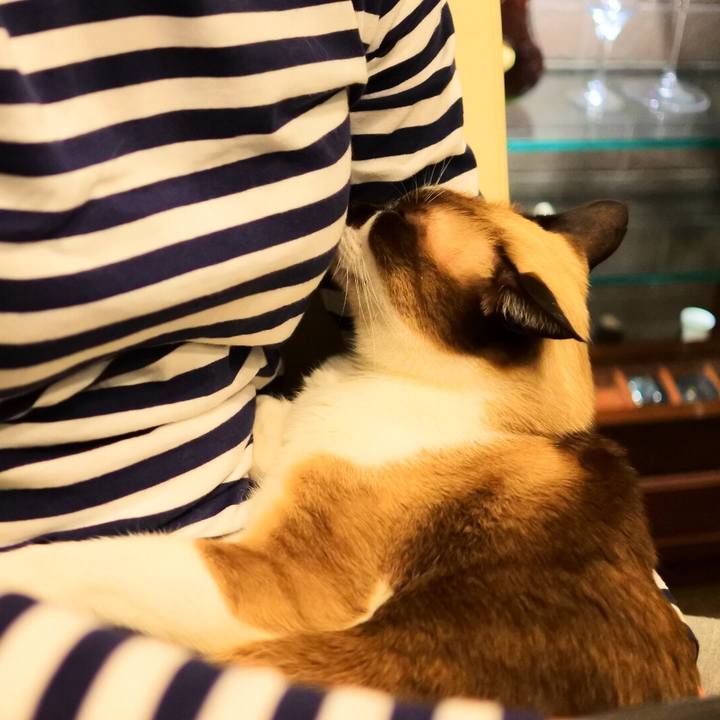 1f457873 c494 451f bbf1 593901a67af6