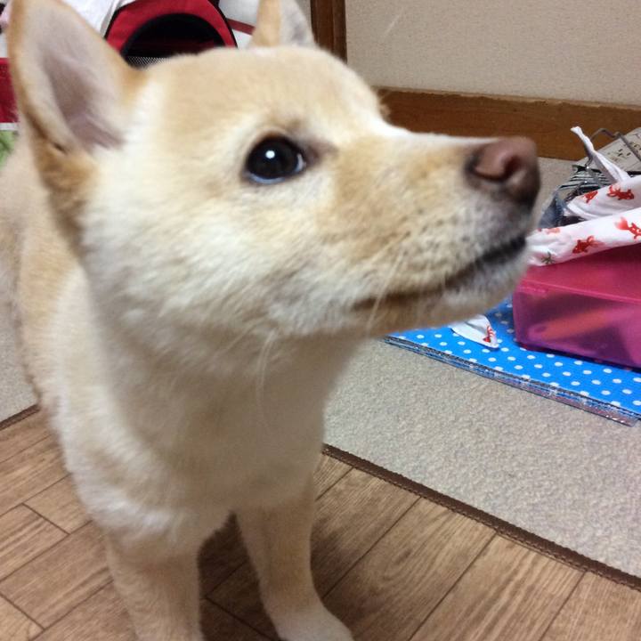 1f45bad8 3f87 4416 ae59 20790fd249ce