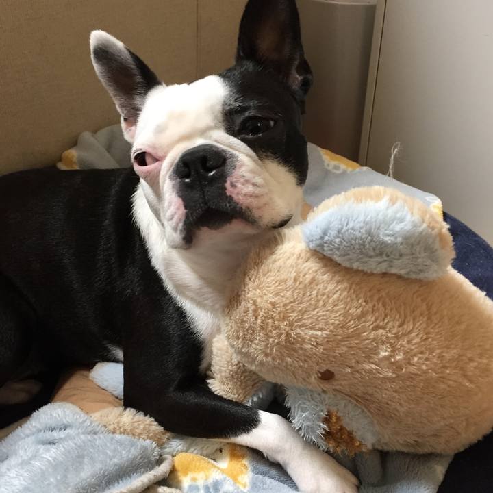 1f45ebf8 1595 4c65 9156 55c0a3ea4103