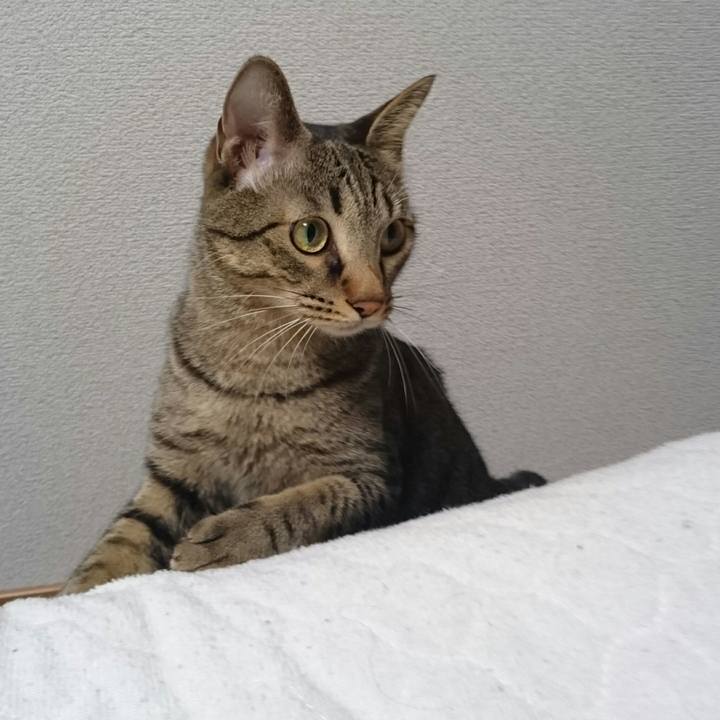 1f46235f b7ff 49d5 a63f edaa1d0d5d12