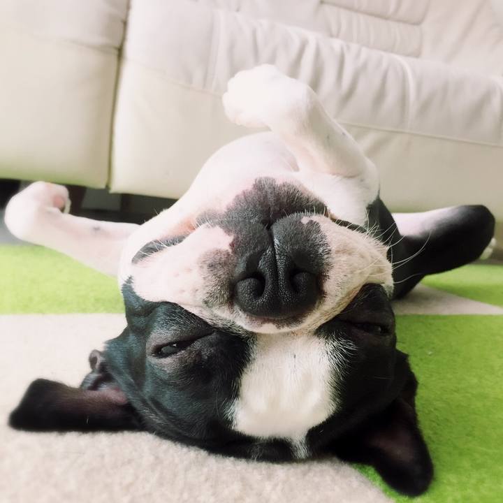 1f46454f fae8 4932 bfe4 56aaba95628c