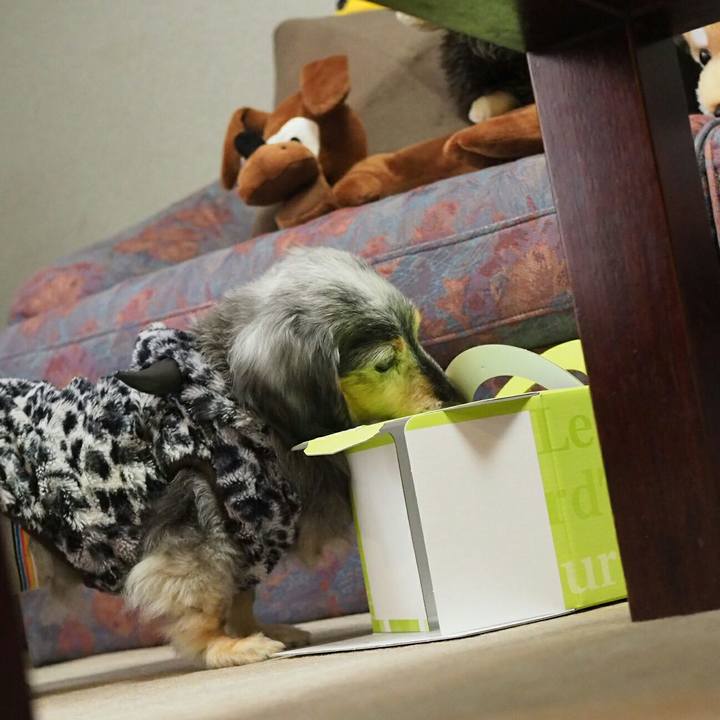 1f467d4d df41 49a4 b8bf 6e3af726a47d