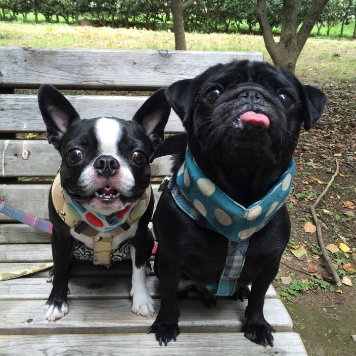 1f46e388 79e9 498b ae9f 5c82795c8acc