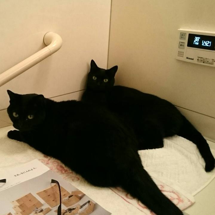 1f46ff0d 2dd7 4652 8a94 897f94d26f53