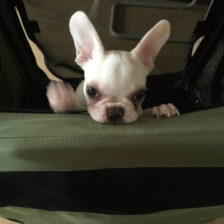 1f470679 4d41 4209 9956 ff9ec18fe8da