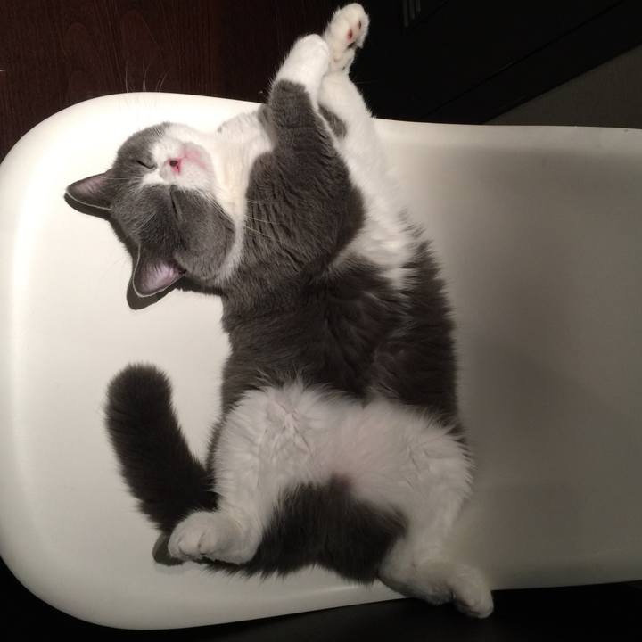 1f4708c7 cbfa 4de7 b5b7 08ab44c9b26b