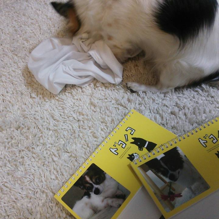 1f47488f bf72 4f6f b5ba 9f180d774451