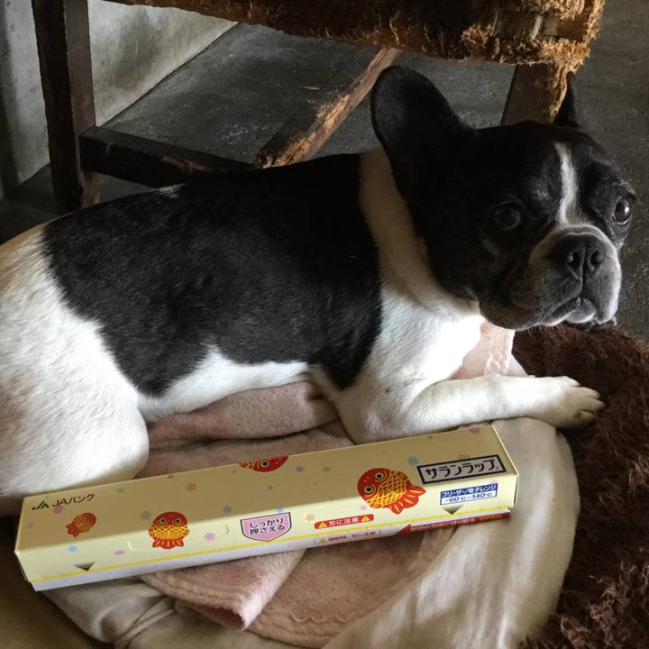 1f475bab a386 480c 8cb2 cf62f0a276f2