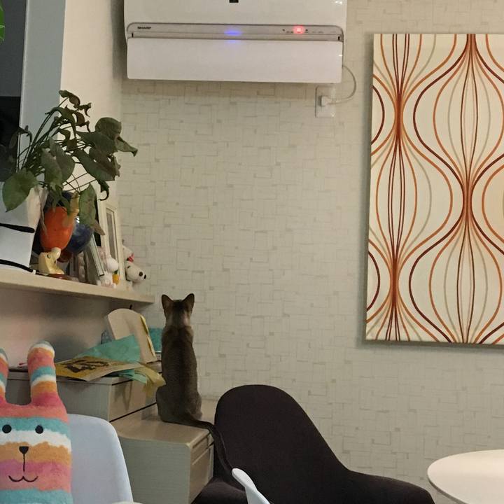 1f476bb1 b6aa 4b2d a5e5 6a0548e3153c