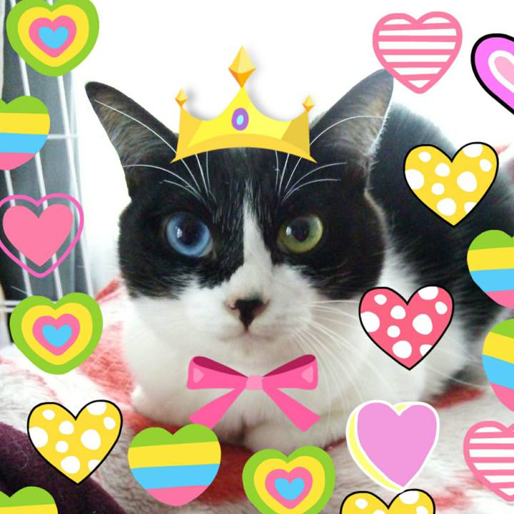 1f47c547 065e 4090 ab3e 2bd60b4c1044