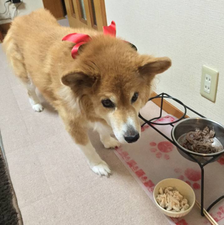 1f483415 d913 441a 95b7 d65c5a62d781