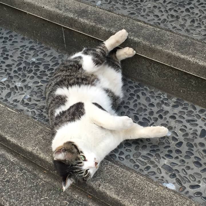 1f484130 1db9 4831 9b0f 384e2c09ab35