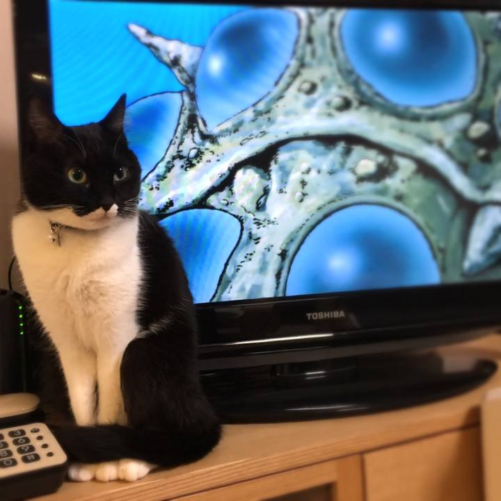 1f496893 802b 469f b3ef 77a2da4c6cd4