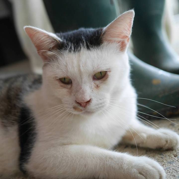 1f49ba7b d73a 4e0b a75a 1431b454a0c2