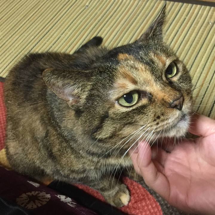 1f4a17fd 29df 412e 96e2 7d498a4fc967