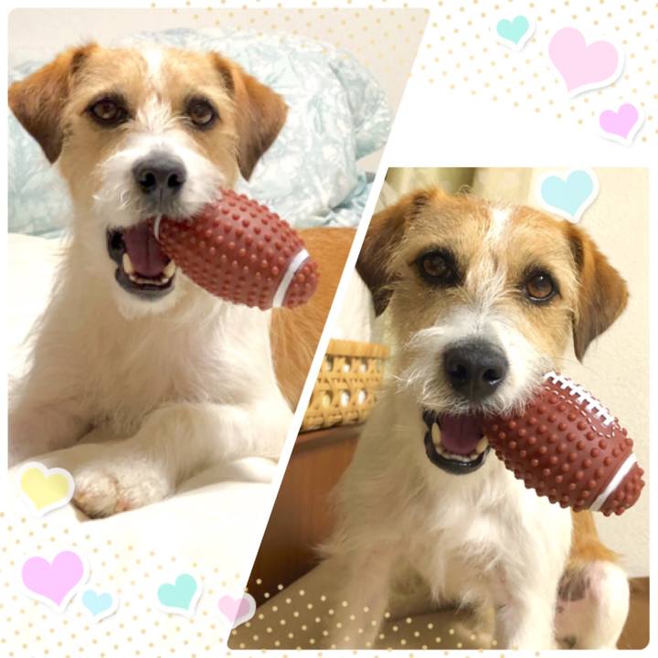 1f4a2369 eaea 4857 a134 616a7adab46a