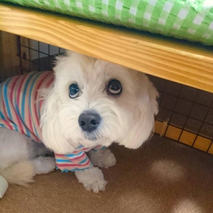 1f4a5d0c 7c4d 47b7 aa78 075742fc2fba