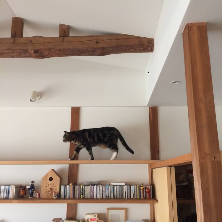 1f4abf89 9a42 4e98 a26d 286f494d8ec2