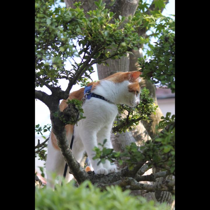 1f4b9077 a449 4252 aa4e c5b958b772d9