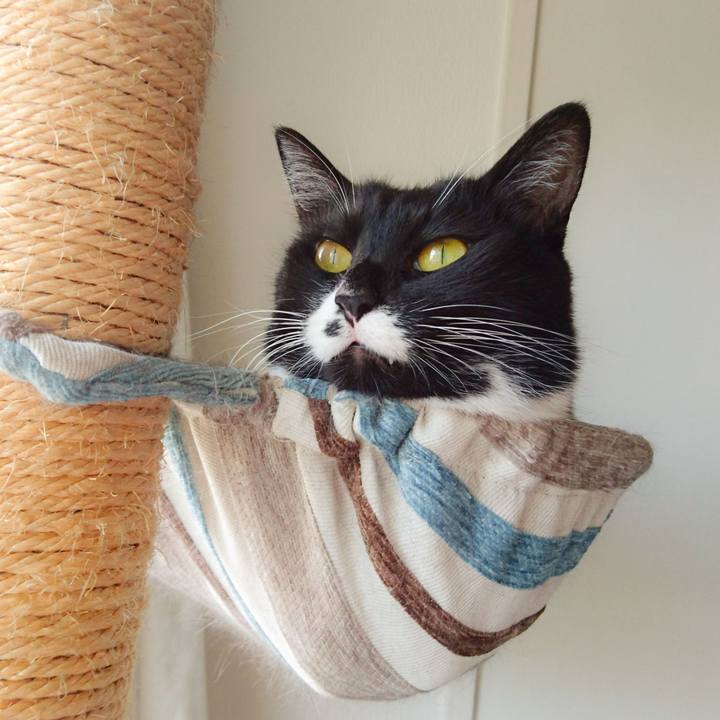 1f4c0aac e7ce 4222 be1e 5bdbe5a86575