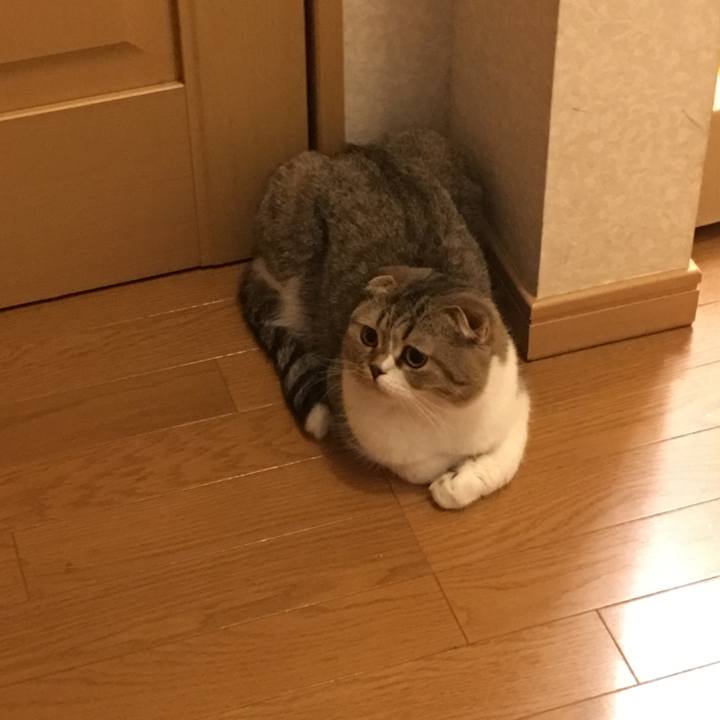 1f4c68bf 8763 476d bd5e 9ba98ca61ba6