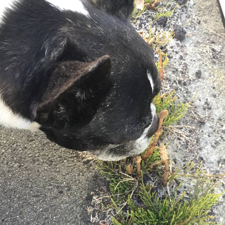 1f4c8f6c e2a9 4891 9299 f019908cb4ae