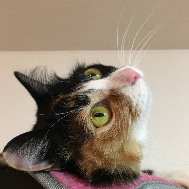 1f4ceadf 490a 4b71 8858 26b3b7b44baf