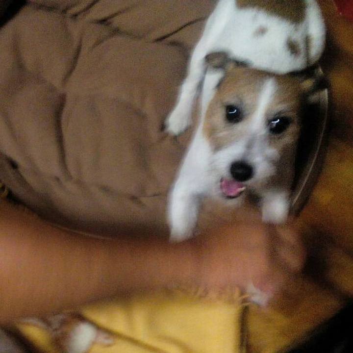 1f4d2ef1 47c1 46bc a2c2 037bd8e2e6ed