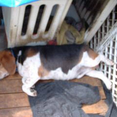 1f4d3382 9f54 4643 8b6b 492b9d1f5ae0